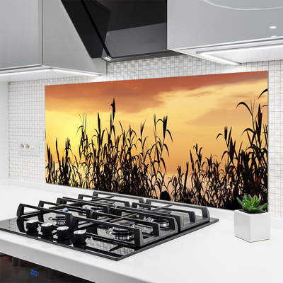 Moderne keuken achterwand Bladeren west meadow field