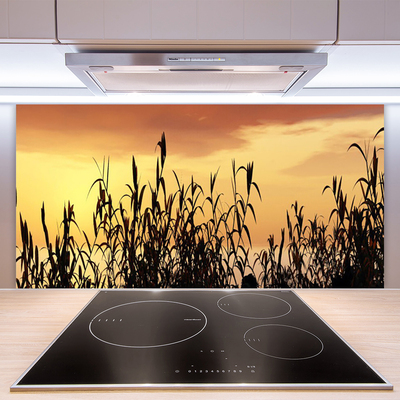 Moderne keuken achterwand Bladeren west meadow field