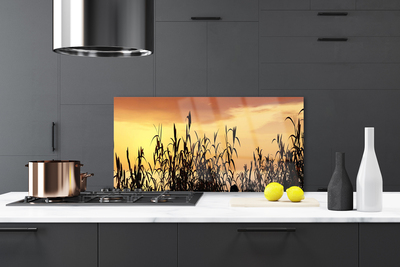 Moderne keuken achterwand Bladeren west meadow field