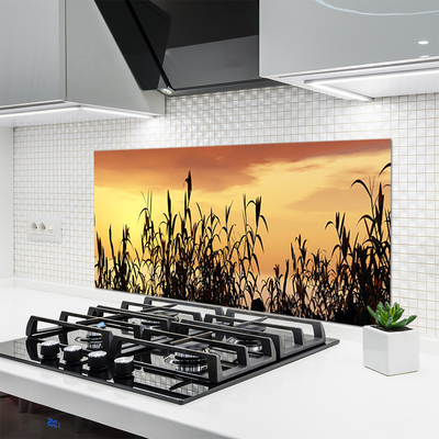 Moderne keuken achterwand Bladeren west meadow field