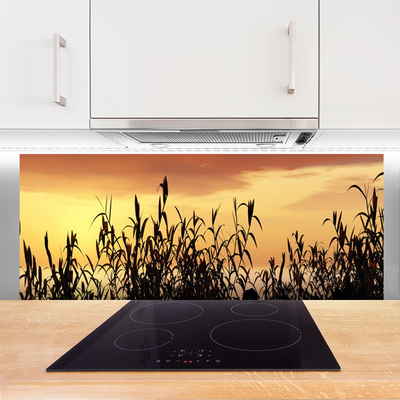 Moderne keuken achterwand Bladeren west meadow field