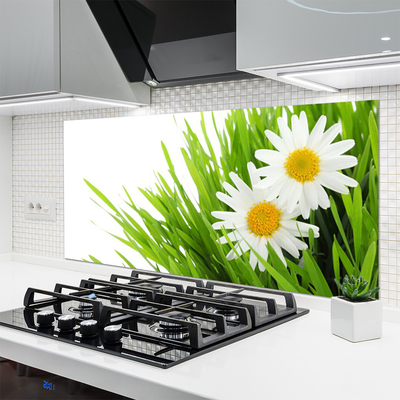 Moderne keuken achterwand Daisy flower nature
