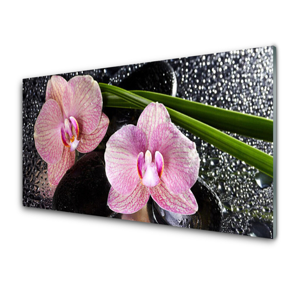 Moderne keuken achterwand Orchidor orchid flowers zen