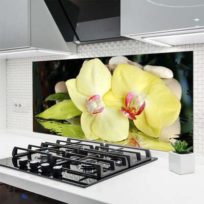 Spatplaat keuken glas Bloemblaadjes orchidee
