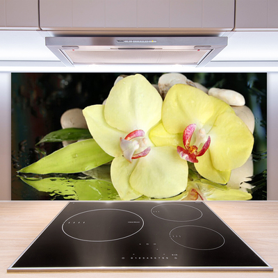 Spatplaat keuken glas Bloemblaadjes orchidee