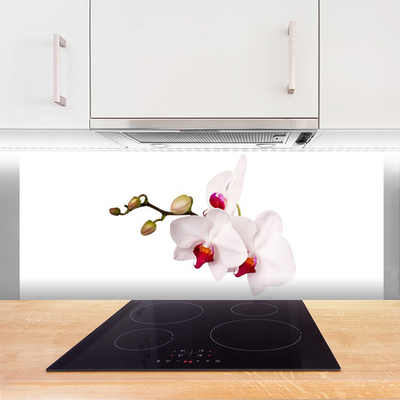 Spatplaat keuken glas Natuur orchideebloemen