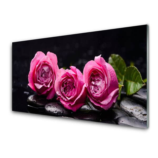 Spatplaat keuken glas Roses stones zen spa nature