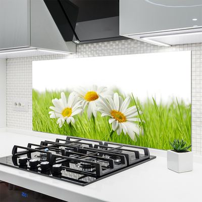 Spatplaat keuken glas Daisy flowers plant