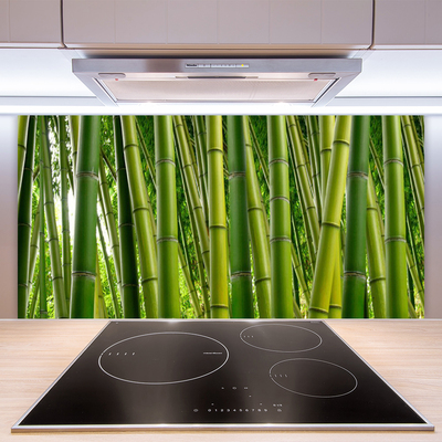 Spatplaat keuken glas Bamboe bos bamboe scheuten