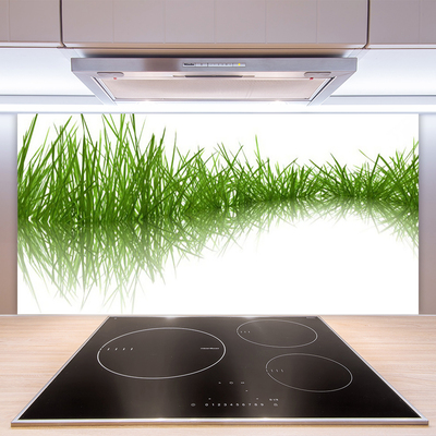 Spatplaat keuken glas Gras natuurplant