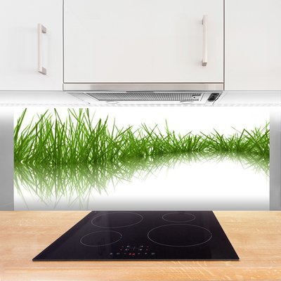 Spatplaat keuken glas Gras natuurplant