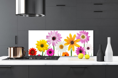 Spatplaat keuken glas Kleurrijke natuurbloemen