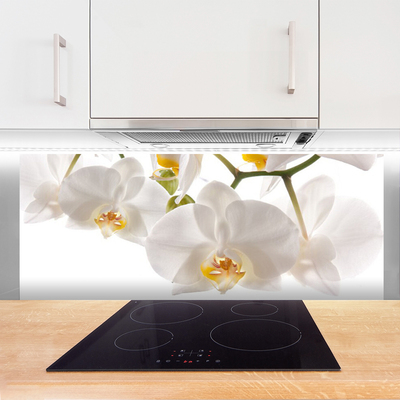 Spatplaat keuken glas Orchidee bloemen natuur