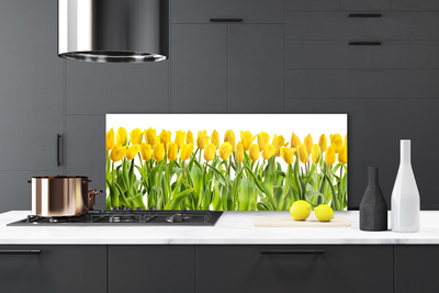 Spatplaat keuken glas Tulpen bloemen natuur
