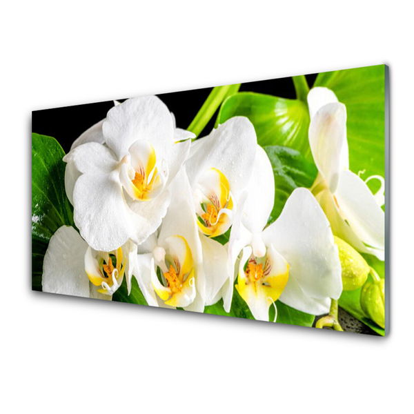 Spatplaat keuken glas Orchidee bloemen natuur