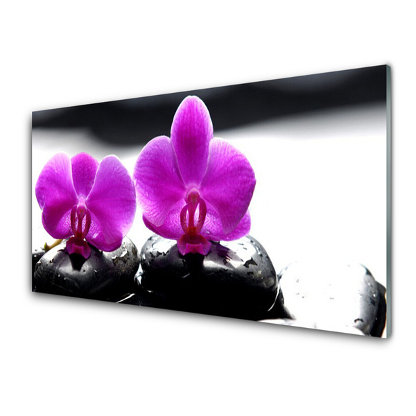 Spatplaat keuken glas Orchidee natuurbloemen