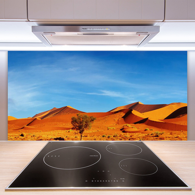 Spatplaat keuken glas Woestijn landschap zand
