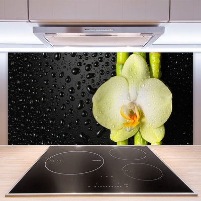 Spatplaat keuken glas Bamboe bloemen orchidee