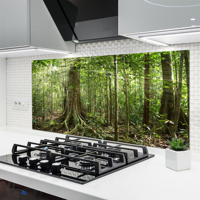 Spatplaat keuken glas Bos natuur jungle bomen