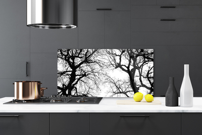Spatplaat keuken glas Zwart en wit natuurbomen