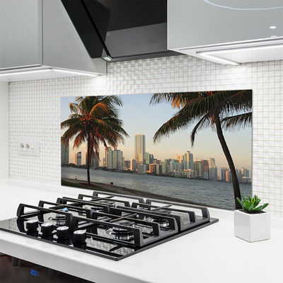 Spatplaat keuken glas Palm tropics city sea