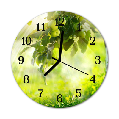 Ronde glas klok Appelboom