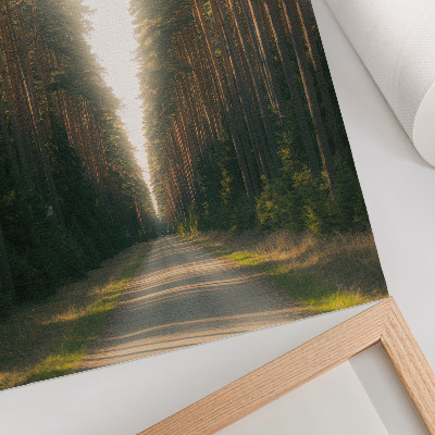 Poster Een prachtig bospad met hoge bomen.