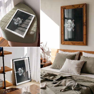Decoratieve poster Zwaan op het water met weerspiegeling