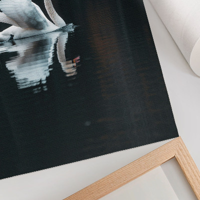 Decoratieve poster Zwaan op het water met weerspiegeling
