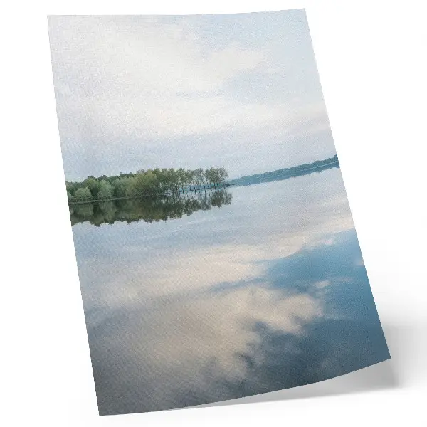 Decoratieve poster met weerspiegeling van bomen in rustig water