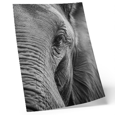 Poster Een olifantenoog vol texturen, harmonie en rust.