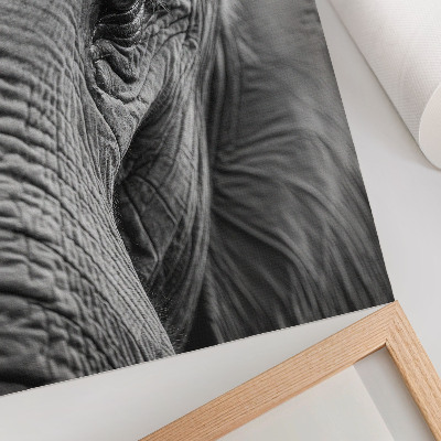 Poster Een olifantenoog vol texturen, harmonie en rust.