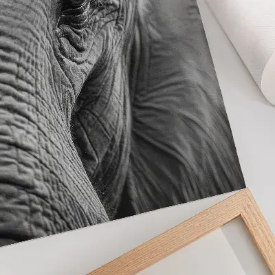Poster met een olifantenoog vol texturen, harmonie en rust