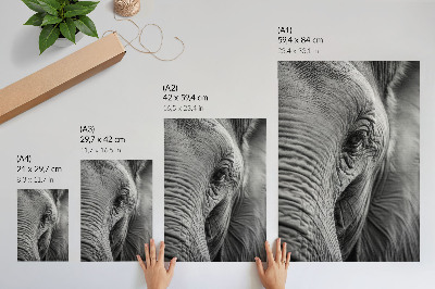 Poster Een olifantenoog vol texturen, harmonie en rust.