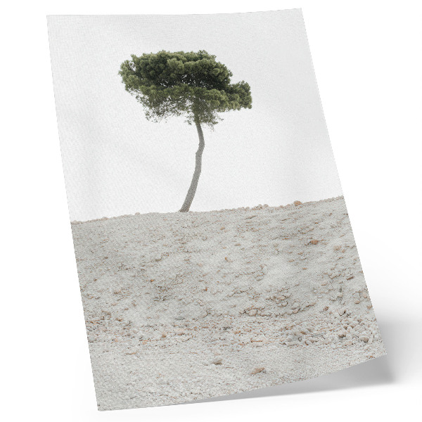 Decoratieve poster Eenzame boom op een lichte achtergrond, minimalisme