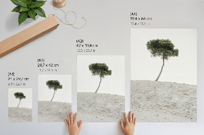 Decoratieve poster Eenzame boom op een lichte achtergrond, minimalisme