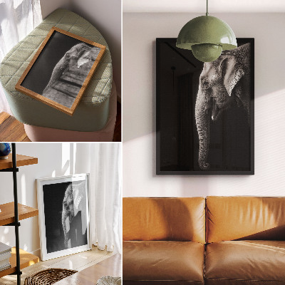 Decoratieve poster Monochroom portret van een olifant in profiel