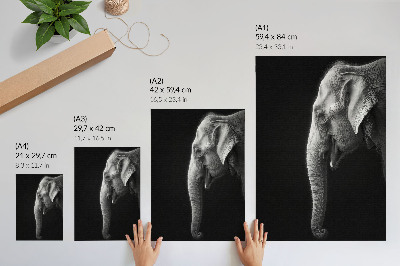 Decoratieve poster Monochroom portret van een olifant in profiel