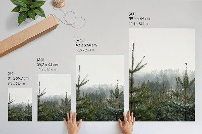 Poster Groene dennenbomen, mist, subtiele diepte, ontspannen sfeer