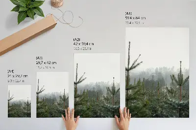 Poster met groene dennenbomen in de mist voor een ontspannen sfeer met subtiele diepte