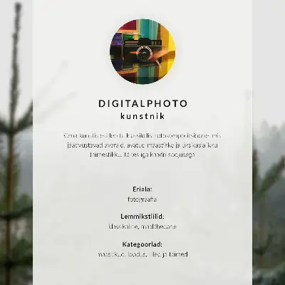 Poster met groene dennenbomen in de mist voor een ontspannen sfeer met subtiele diepte