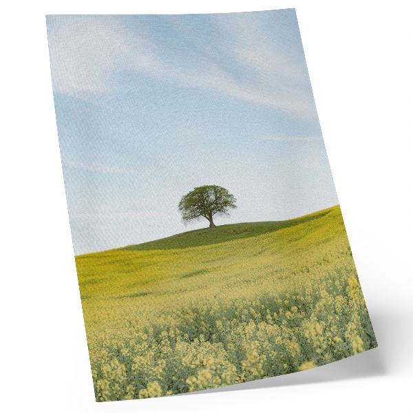 Decoratieve poster Een boom op een heuvel in een geel veld.