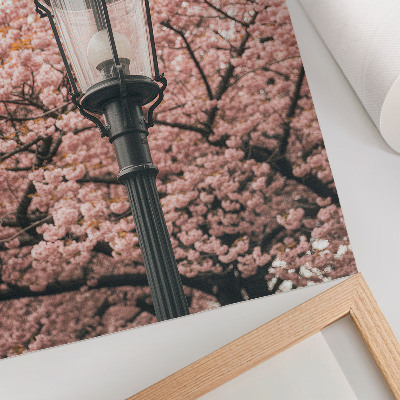 Poster Roze bomen, zwarte lantaarn, nostalgische sfeer