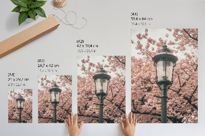 Poster Roze bomen, zwarte lantaarn, nostalgische sfeer