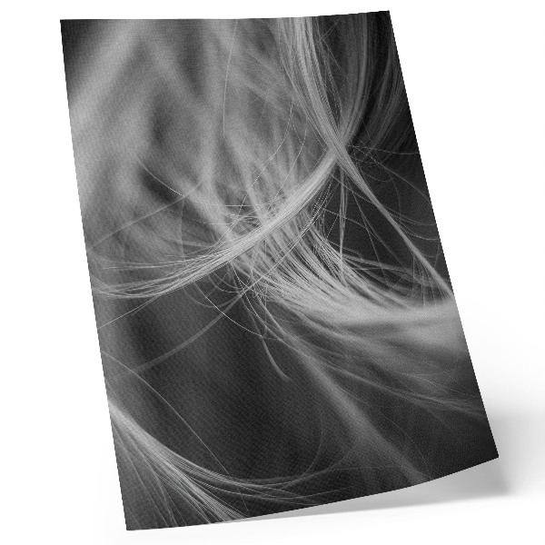 Poster Fijne lijnen in abstracte moderne stijl