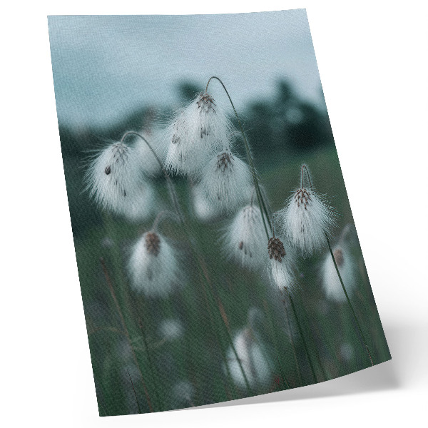 Wandposter Luchtige grassprieten, delicatesse, blauw, vrede