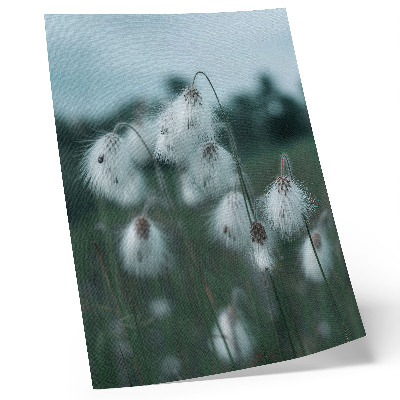Wandposter Luchtige grassprieten, delicatesse, blauw, vrede
