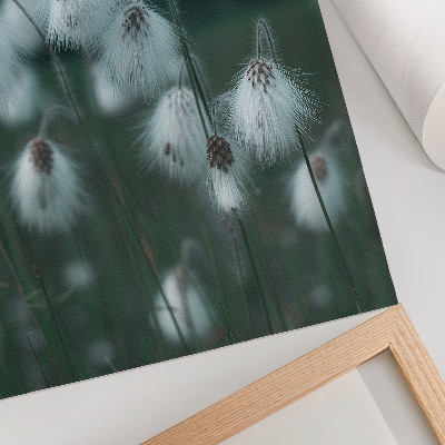 Wandposter Luchtige grassprieten, delicatesse, blauw, vrede