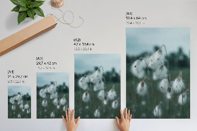 Wandposter Luchtige grassprieten, delicatesse, blauw, vrede