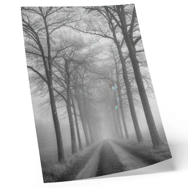Wandposter met modern minimalisme van een mistig bomenlaantje